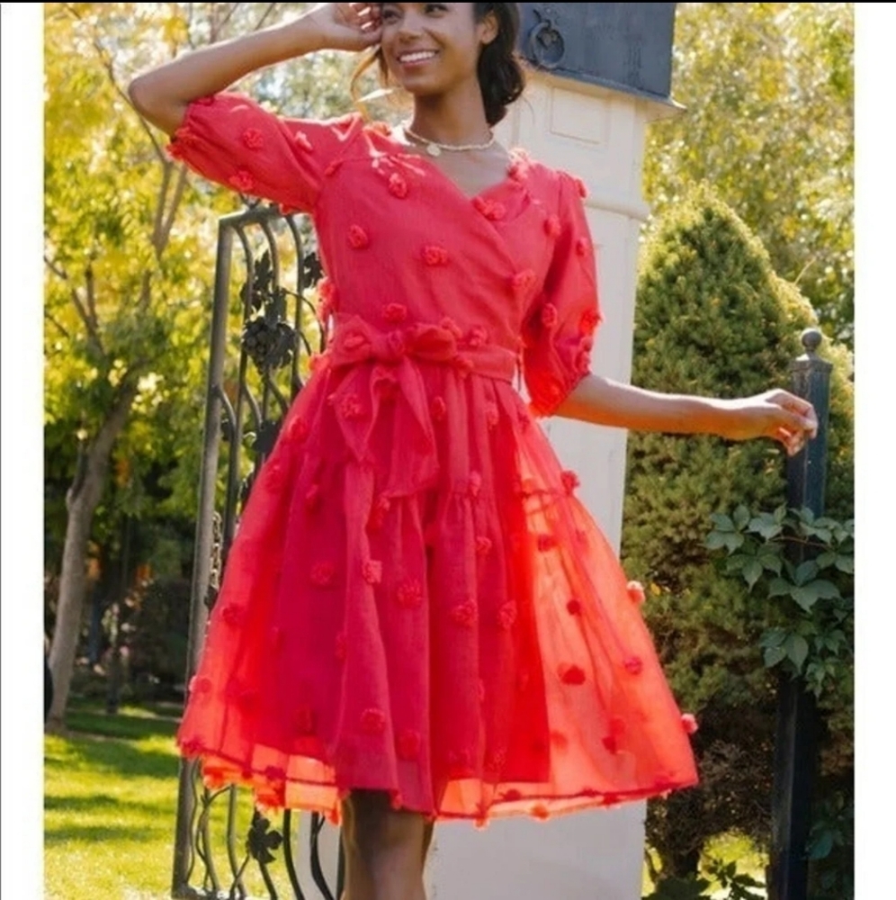 BNWT Ivy City Co First Kiss Red Dress size Medium Holiday Valentine dress!!